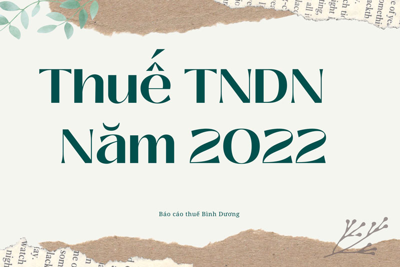 Thuế TNDN năm 2022